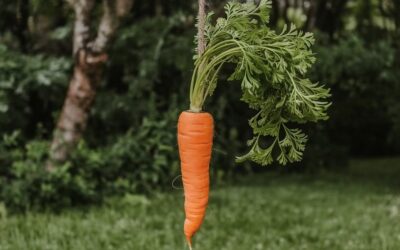 Dangling the Carrot for Your Vote